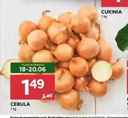 Stokrotka Cebula oferta