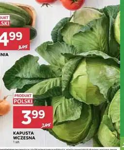 Stokrotka Kapusta wczesna oferta