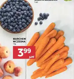 Stokrotka Marchew wczesna oferta