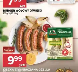 Stokrotka Kiszka ziemniaczana Gzella oferta