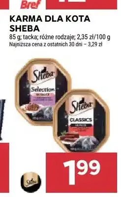 Stokrotka Karma dla kota Sheba oferta