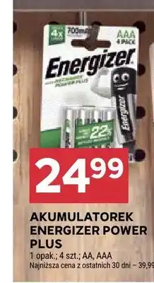 Stokrotka Akumulatorek Energizer Power Plus oferta