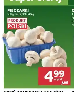 Stokrotka Pieczarki świeże oferta