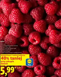 Lidl Maliny Plus-Plus oferta