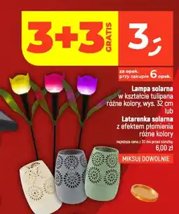 Dealz Lampa solarna w kształcie tulipana oferta
