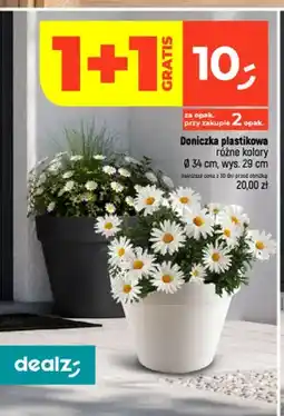 Dealz Doniczka plastikowa oferta