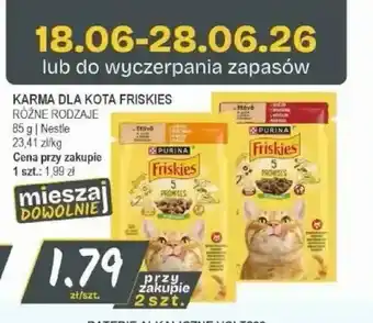 Słoneczko Karma dla kota Friskies oferta