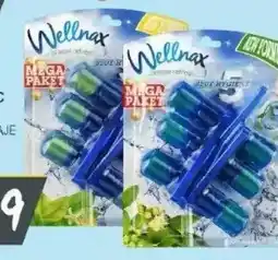 Słoneczko Kostka do WC Wellnax Blue Hygiene oferta