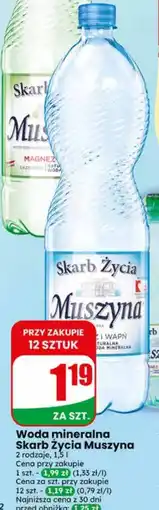 Dino Woda mineralna Muszyna oferta