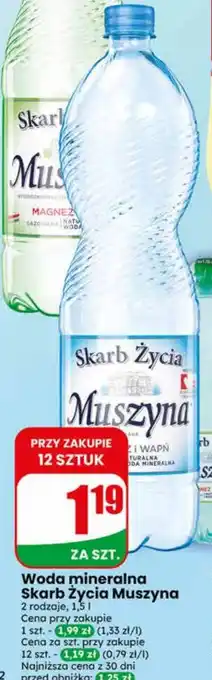 Dino Woda mineralna Muszyna oferta