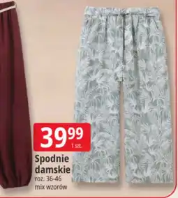 E.Leclerc Spodnie damskie oferta