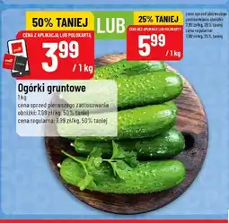 Polomarket Ogórki gruntowe oferta