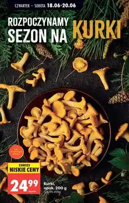 Biedronka Kurki oferta