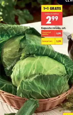 Biedronka Kapusta młoda oferta