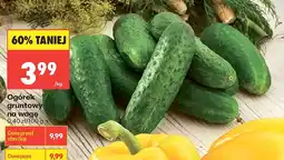 Biedronka Ogórek gruntowy na wagę oferta