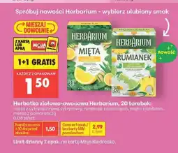 Biedronka Herbatka ziołowo-owocowa Herbarium mięta z cytryną i trawą cytrynową oferta