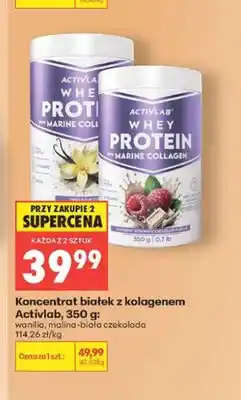 Biedronka Koncentrat białek z kolagenem Activlab wanilia oferta