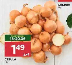 Stokrotka CEBULA oferta