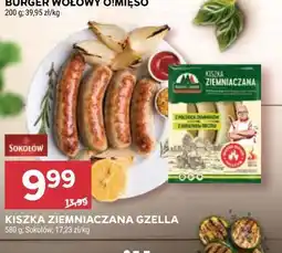 Stokrotka Kiszka ziemniaczana Gzella oferta