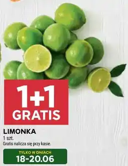 Stokrotka Limonka oferta