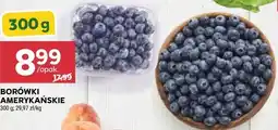 Stokrotka Borówki amerykańskie oferta