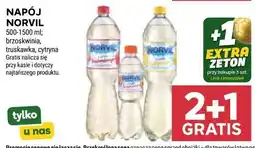 Stokrotka NAPÓJ NORVIL oferta
