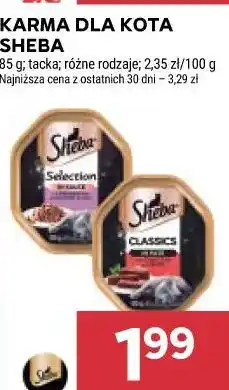 Stokrotka Karma dla kota Sheba oferta