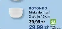Stokrotka Rotondo Miska do musli oferta