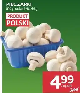 Stokrotka PIECZARKI oferta