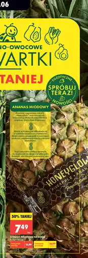 Biedronka Ananas Miodowy Honeyglow oferta