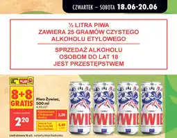 Biedronka Piwo Żywiec oferta