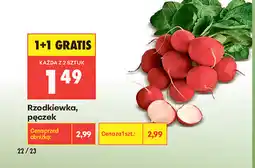 Biedronka Rzodkiewka, pęczek oferta