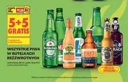 Biedronka Wszystkie piwa w butelkach bezzwrotnych oferta
