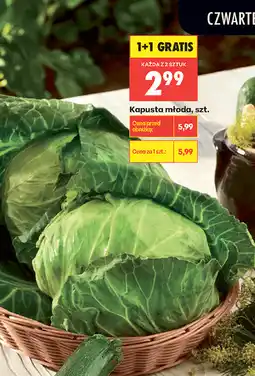 Biedronka Kapusta młoda, szt oferta