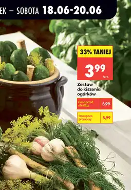 Biedronka Zestaw do kiszenia ogórków oferta