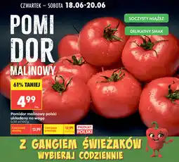 Biedronka Pomidor malinowy polski układany na wagę oferta
