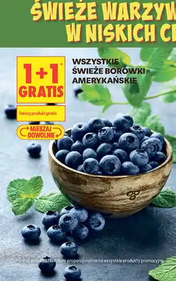 Biedronka Wszystkie świeże borówki amerykańskie oferta