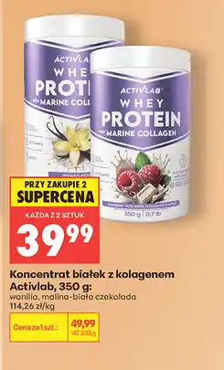 Biedronka Koncentrat białek z kolagenem Activlab oferta