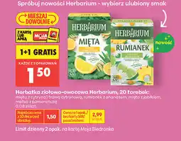 Biedronka Herbatka ziołowo-owocowa Herbarium oferta