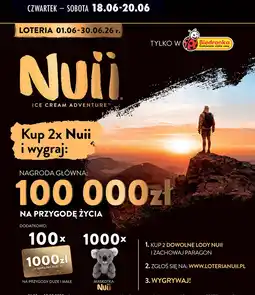 Biedronka Kup 2x Nuii i wygraj oferta