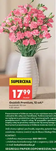 Biedronka Goździk Premium, 12 szt oferta