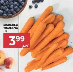 Stokrotka Market Marchew wczesna oferta
