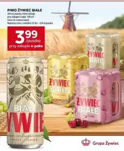 Stokrotka Market PIWO ŻYWIEC BIAŁE oferta