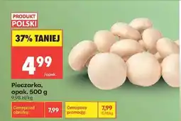 Biedronka Pieczarka opak 500 g oferta