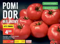 Biedronka Pomidor malinowy oferta