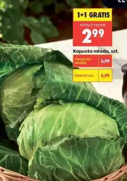 Biedronka Kapusta młoda szt oferta
