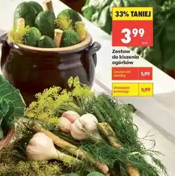 Biedronka Zestaw do kiszenia ogórków oferta