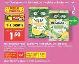 Biedronka Herbatka ziołowo-owocowa Herbarium, 20 torebek oferta