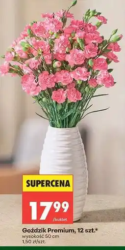 Biedronka Gozdzik premium 12 szt oferta