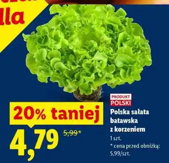 Lidl Polska sałata batavska z korzeniem oferta